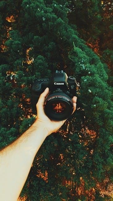 canon 5d mk3 user manual