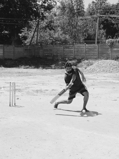 bat size guide cricket