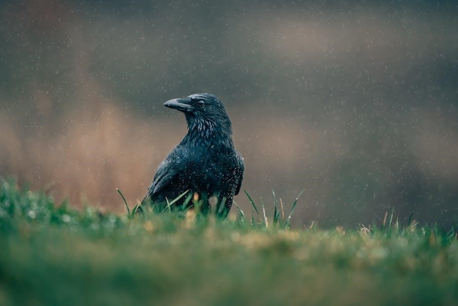 manual for rain bird esp 6tm