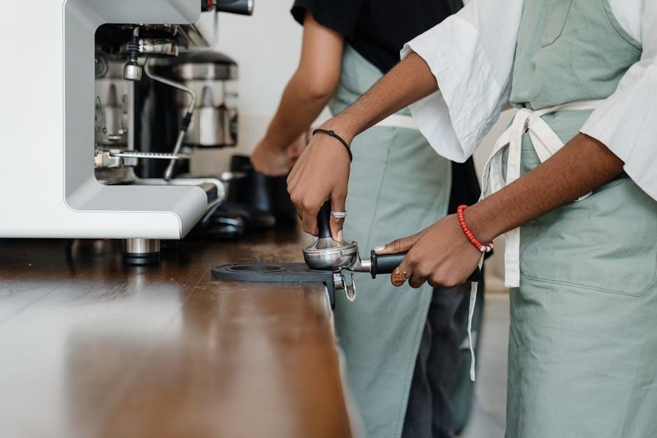 nuova simonelli espresso machine manual