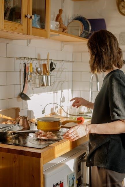 bosch induction hob manual