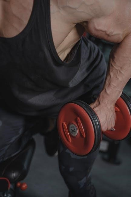 weightlifting terms and definitions pdf