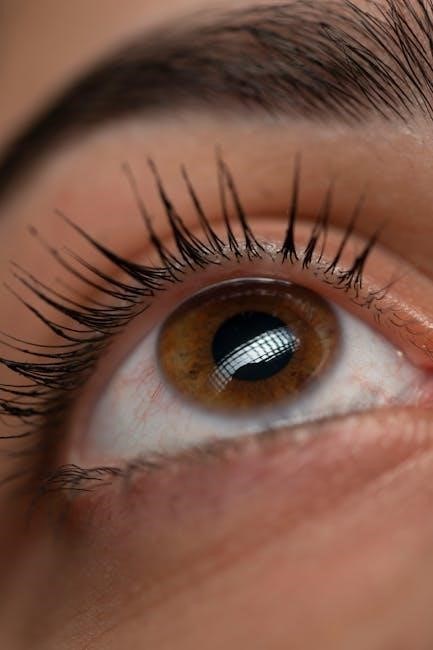 brow shape guide