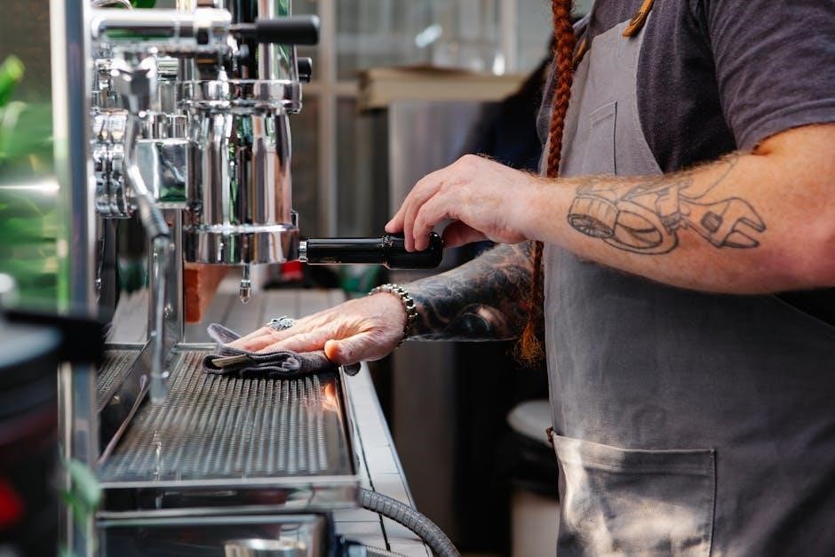 saeco espresso machine user manual